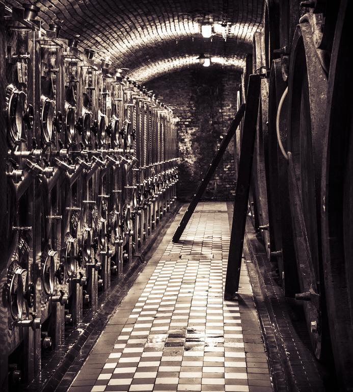 Penzion Vino Hruska Blatnicka ภายนอก รูปภาพ